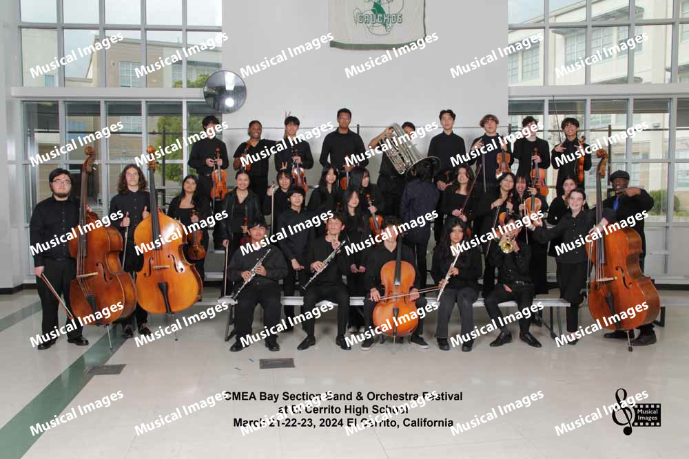 Musical Images